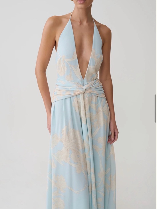 In Bloom Dresses & Skirts - In Bloom Light Blue Halter Maxi Dress with Cream Floral Accents